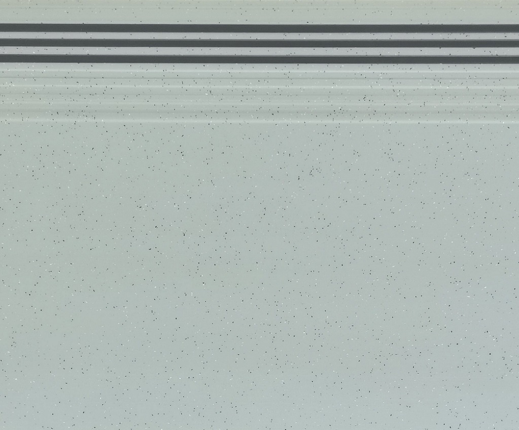 RS-8003